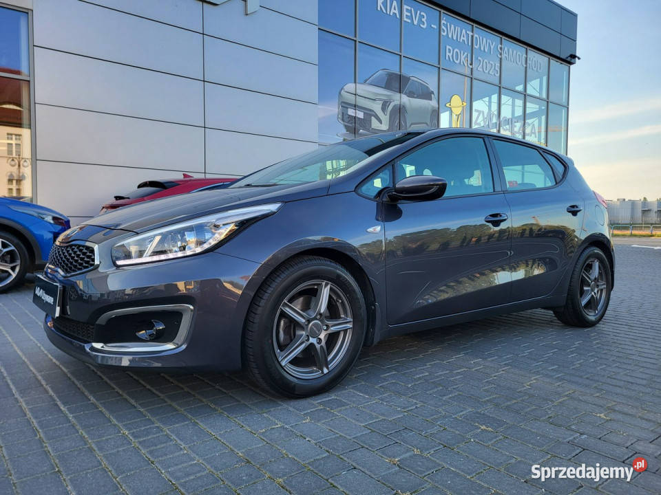 Kia Ceed 78 przebiegu bezwypadkowy stan II 2012 Toruń