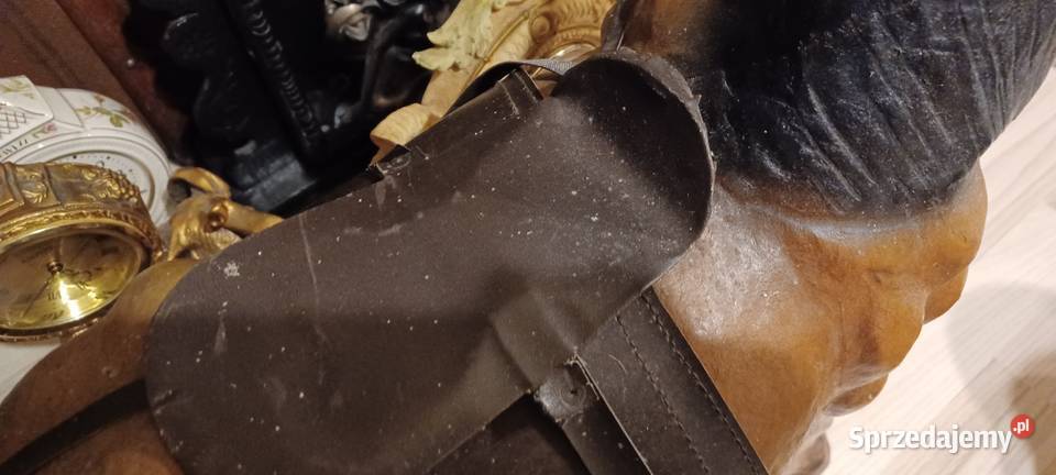 W POZNANIU KUP SKORZANEGO PRLOWSKIEGO KONIA Środa Wielkopolska