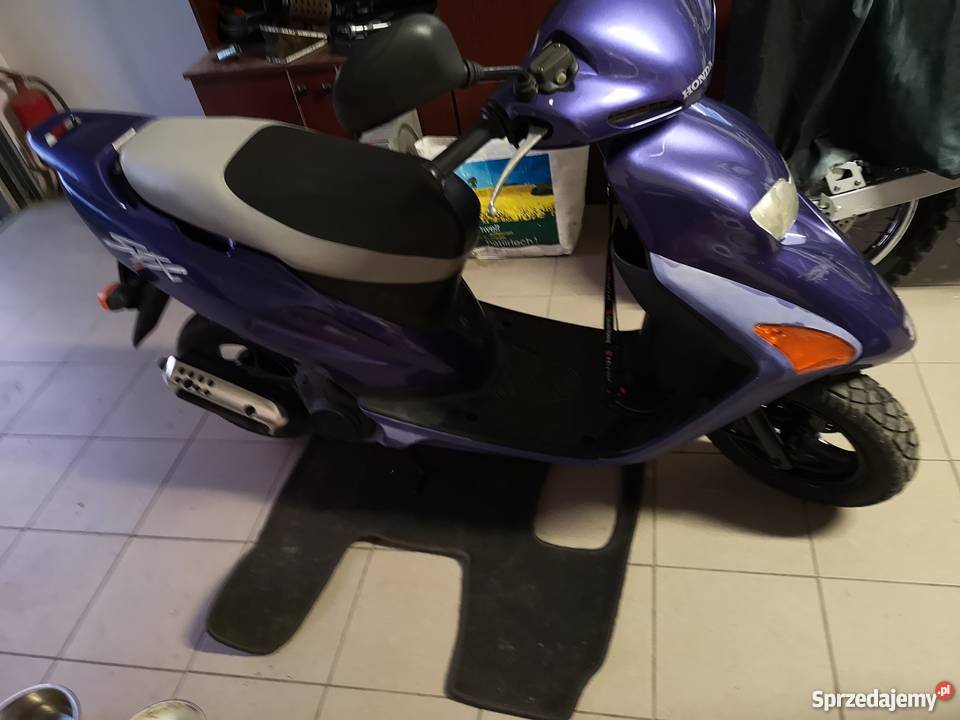 Honda SFX 50 Trzebnica