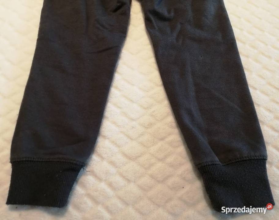Spodnie dresowe szare 98 Takko Fashion Odzież Rozmiar 98 Czeladź