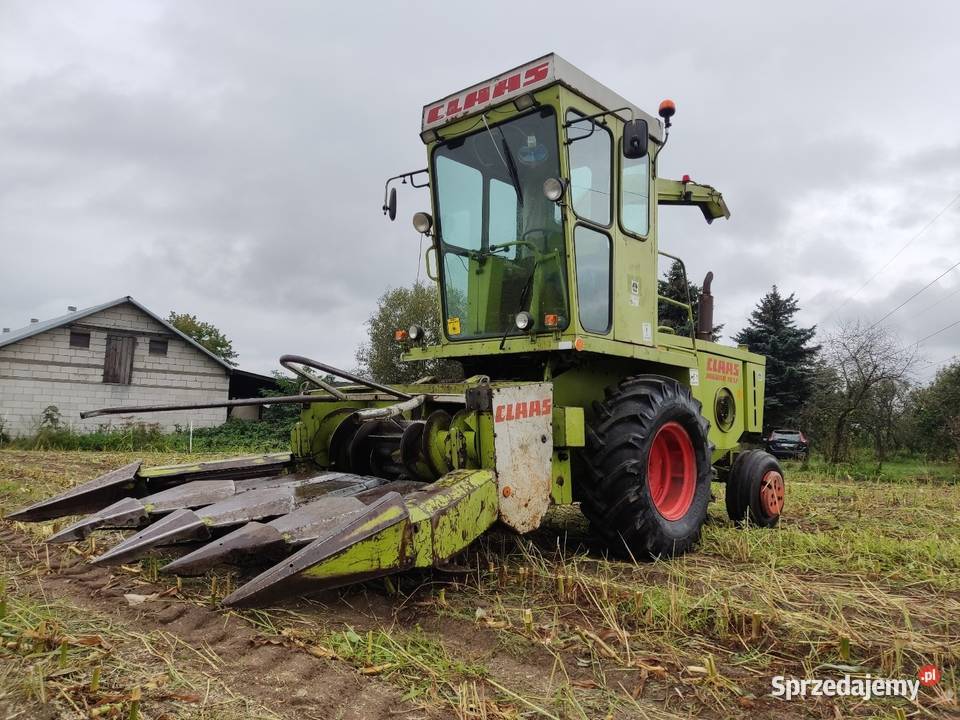 Sieczkarnia do kukurydzy CLAAS JAGUAR 70 SF nieuszkodzony Lipno sprzedam