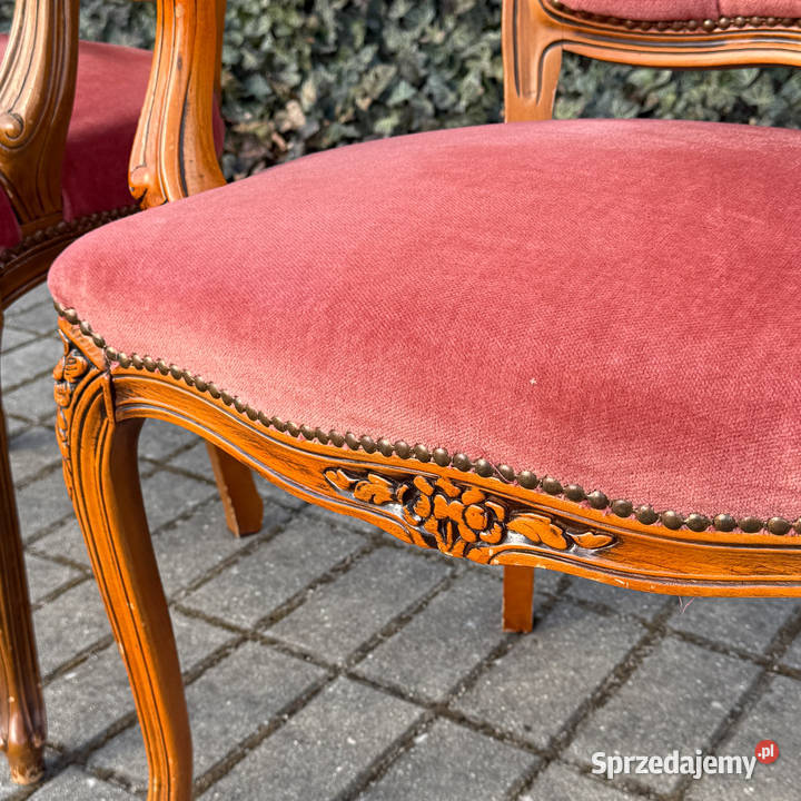 ARTexpert Para foteli Ludwik fotel siedzisko Dobrzany