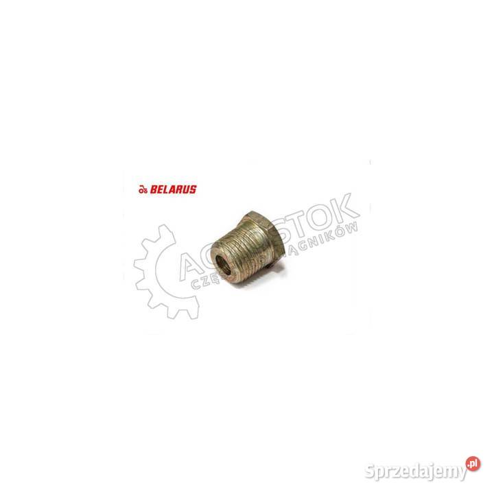 Korek 38 mtz lubelskie Parczew