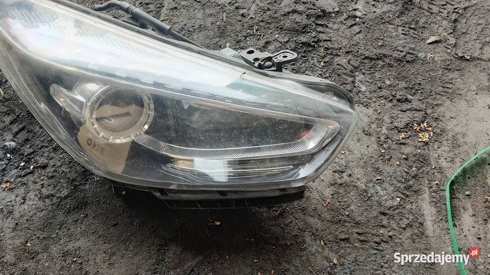 Reflektror lampa prawa przód przednia zwykła Lampy przednie Książ Wielkopolski