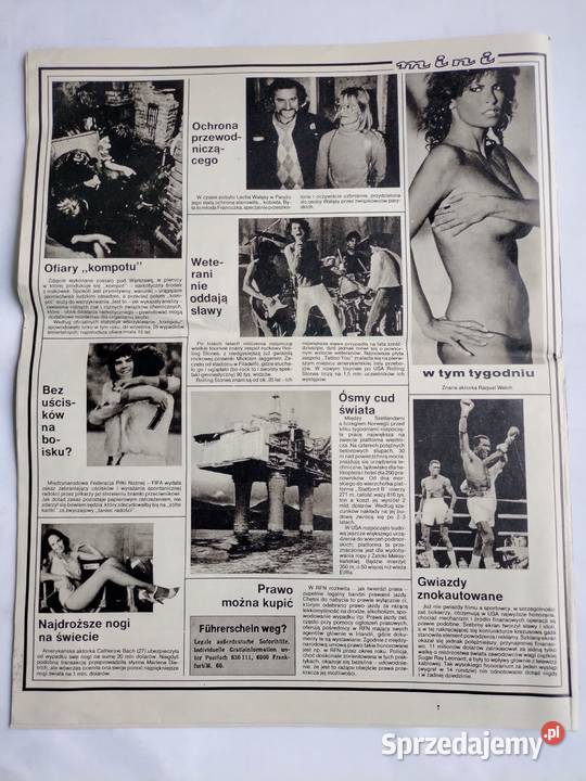 Panorama Północy czasopismo z 29 listopada 1981r Rok wydania 1981 Gdynia sprzedam