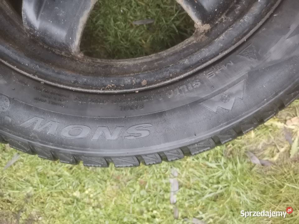 Opona zimowa 2055516 Chełmno