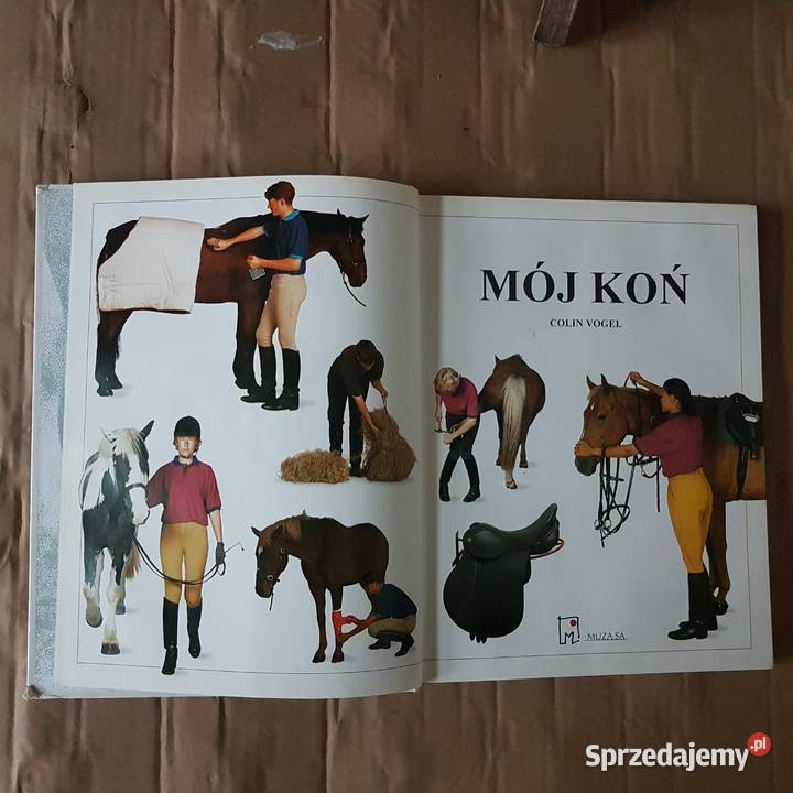 szczotki konia albumMój końapaszka jeździecka Dargikowo
