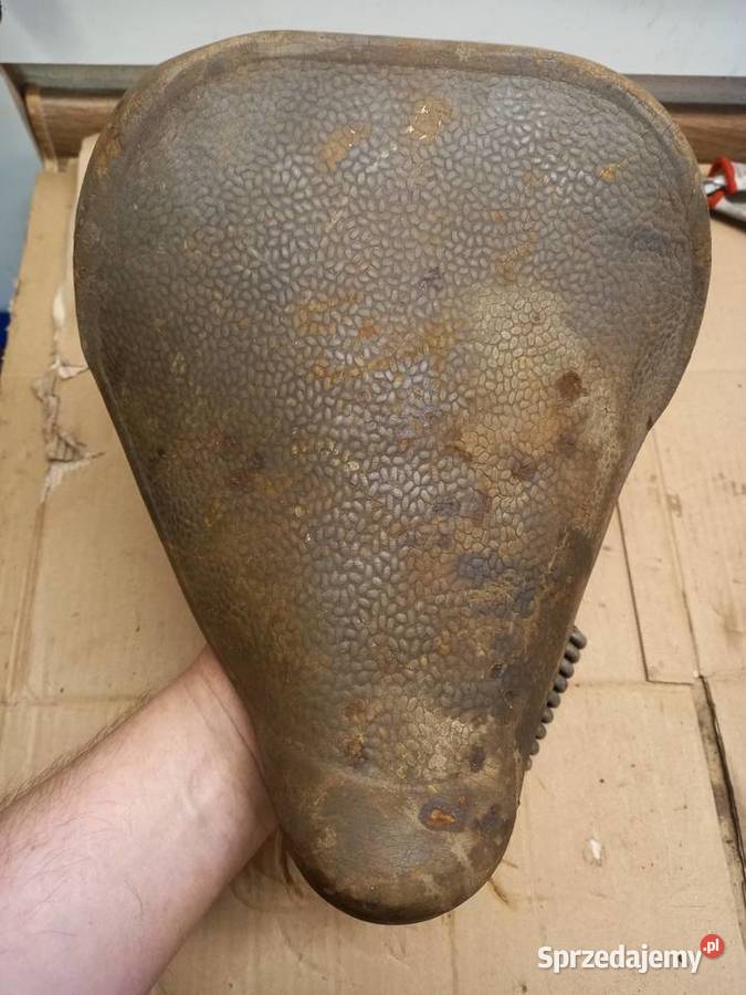 Siedzenie komar sztywniak Sokołów Podlaski