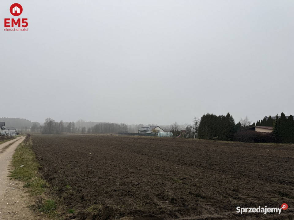 Sprzedam grunt Niewodnica Kościelna 9256m2 sprzedam