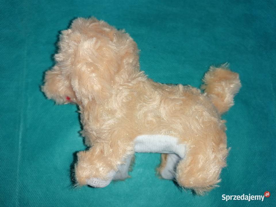 Piespiesek interaktywnyZabawkaPies chodzi Edukacyjne łódzkie Łódź