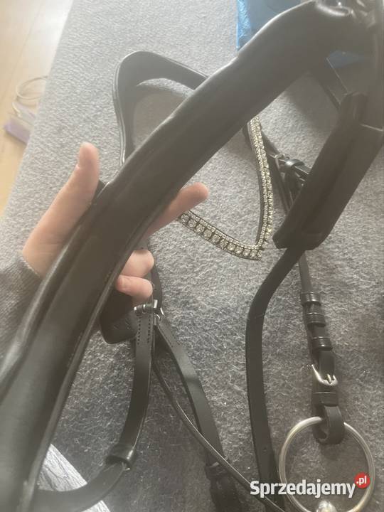 Oglowie horze zachodniopomorskie Stargard