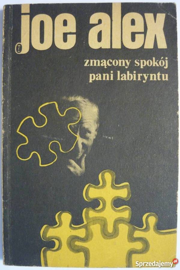 ZMĄCONY SPOKÓJ PANI LABIRYNTU ALEX JOE Warszawa