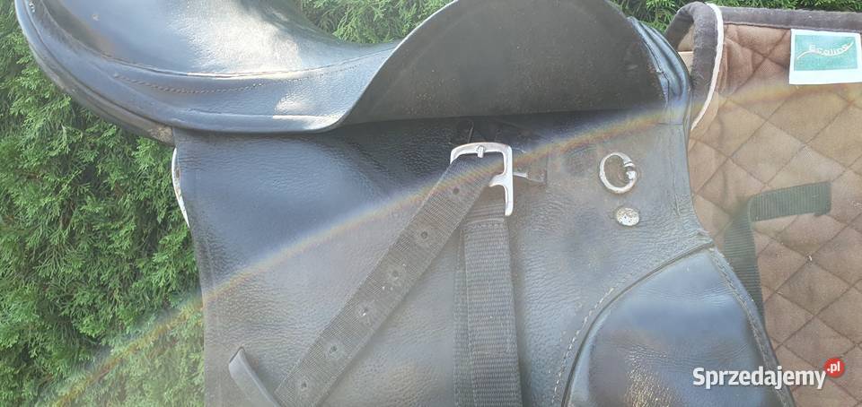 Siodło Zestaw Do Jazdy Konnej