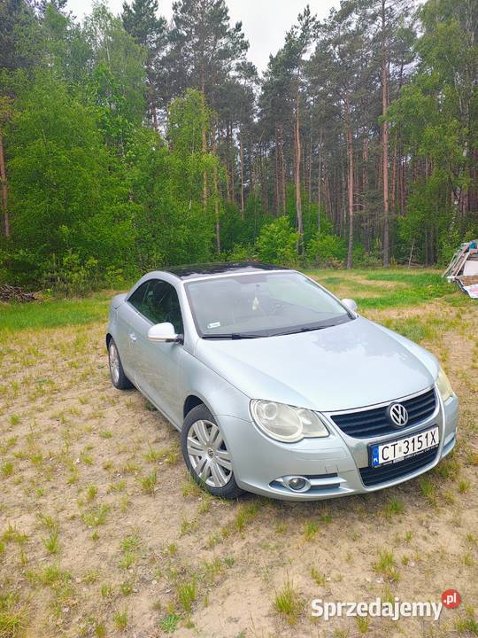 VW Eos Obrowo