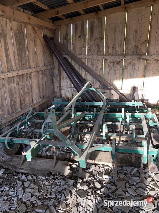 Talerzówka podkarpackie Potok Jaworowski