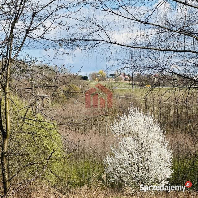 Działka 4100m2 Rzeszów Zielone Wzgórze 38zł/m2