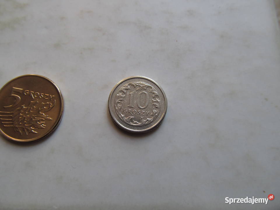 1gr5gr10gr zestaw A Lublin