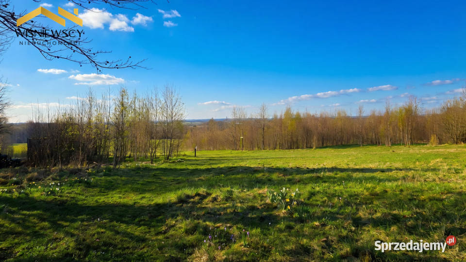 Działka 163 ha rezerwacie Lenki Dawidy