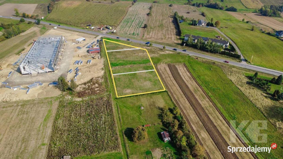 Grunt 3000m2 Czerteż 3000m2 Grunty i działki