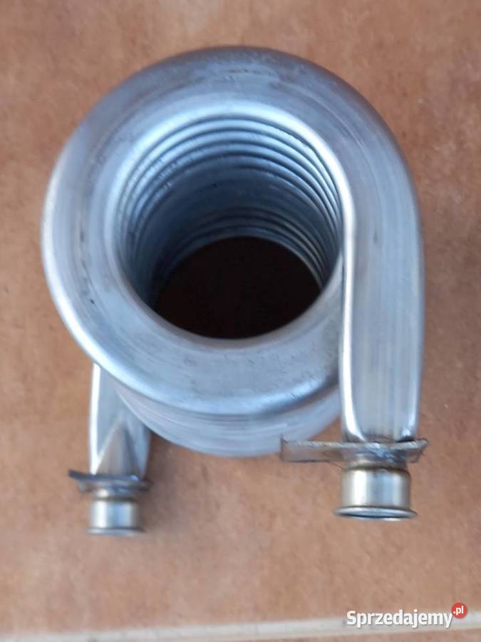 Wężownica nierdzewna podkarpackie Jarosław