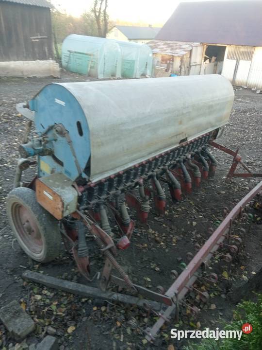 Siewnik isaria Iłowiec