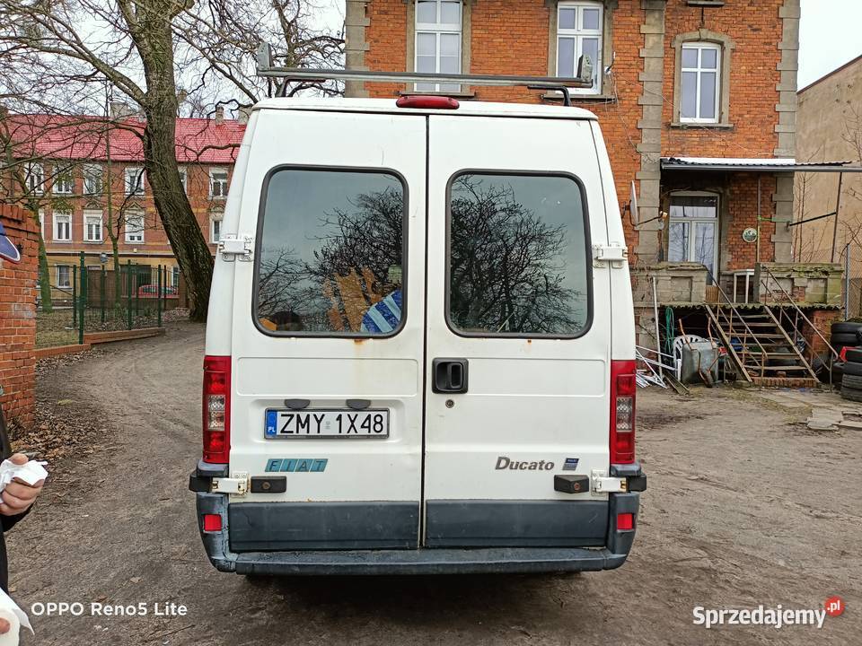 Fiat Ducato 28 JTD Maxi manualna Dębno