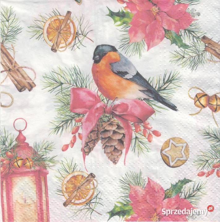 Dekupaż Boże Narodzenie zima ptaszki sikorki Skarżysko-Kamienna