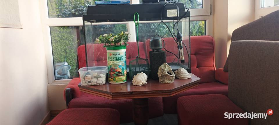 akwarjum rybek z dodatkami Przodkowo sprzedam