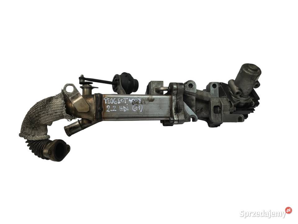 CHŁODNICA SPALIN Peugeot 4007 22 HDI 9685922480 osobowe Chełm