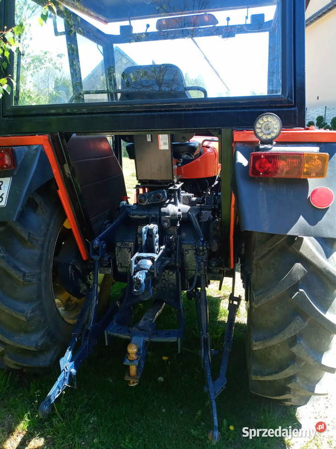 Ursus c 360355