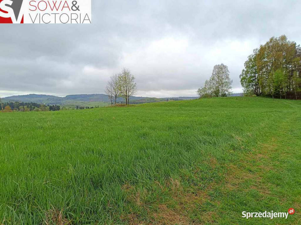 Sielankowa działka z lasem cisza i spokój Bartnica sprzedam