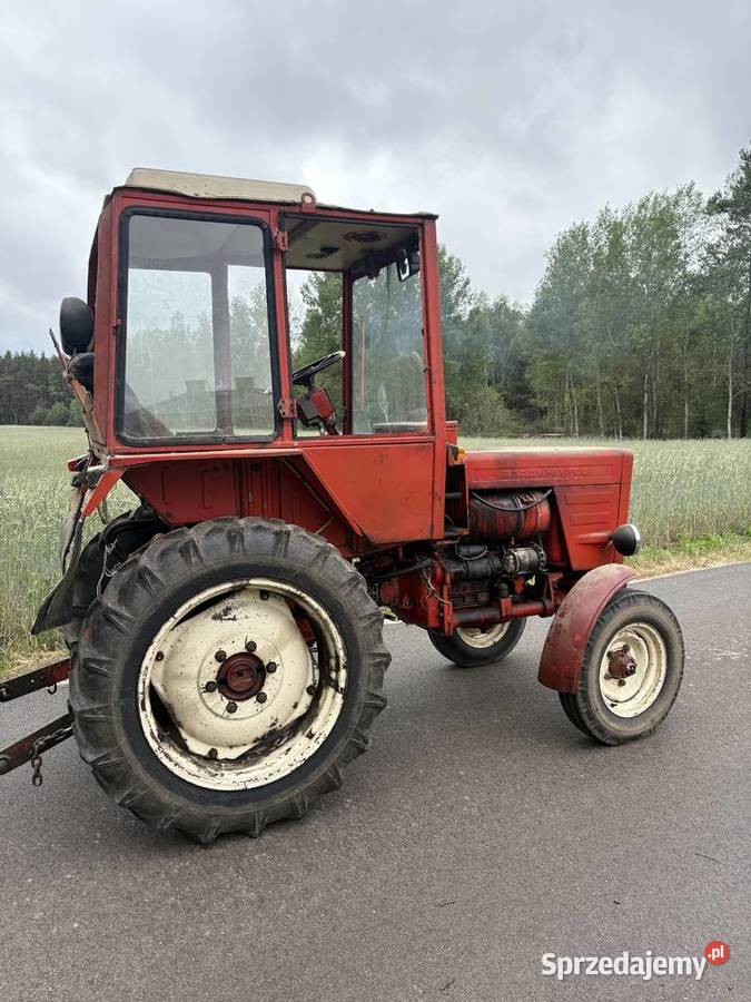 Władimirec T25 lubelskie
