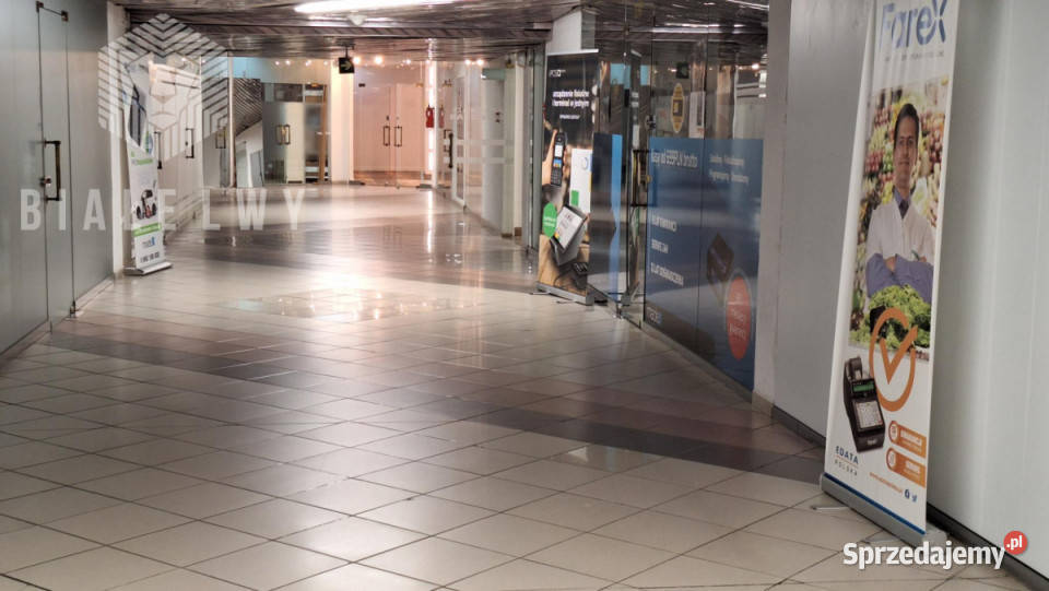 Lokal Warszawa Aleja Wincentego Witosa 407m2 mazowieckie