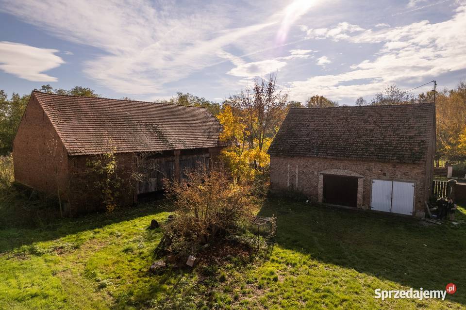 Miejsce z potencjałem dom budynki gosp i łąki w Dalborowice