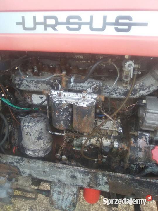 Sprzedam Ursusa nieuszkodzony Zaniówka
