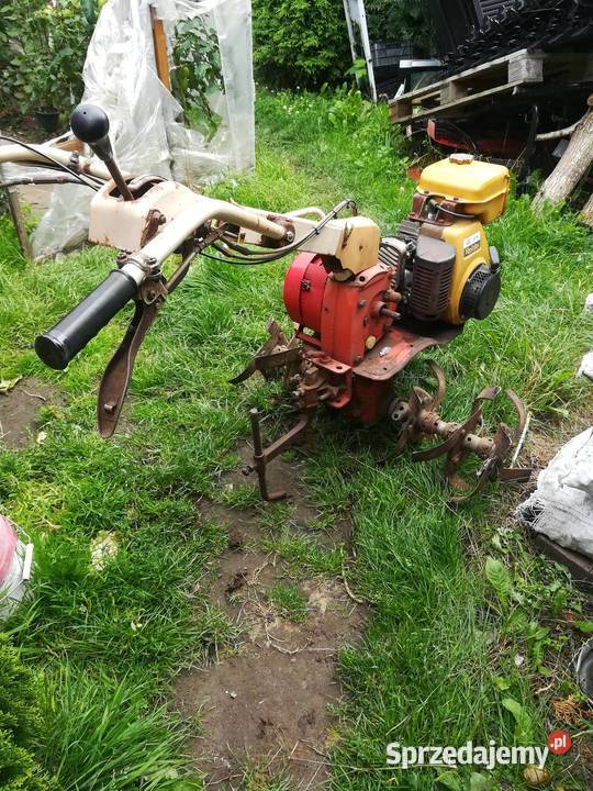 Glebogryzarka dzik firmy Honda Niwka