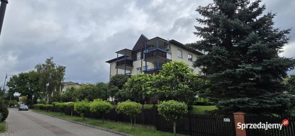 sprzedaży mieszkania Ciechocinek Sosnowa 43m2 2 blok