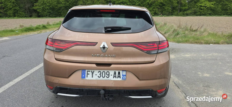 Renault Megane 15 dci 69 IV 2016 Pleszew