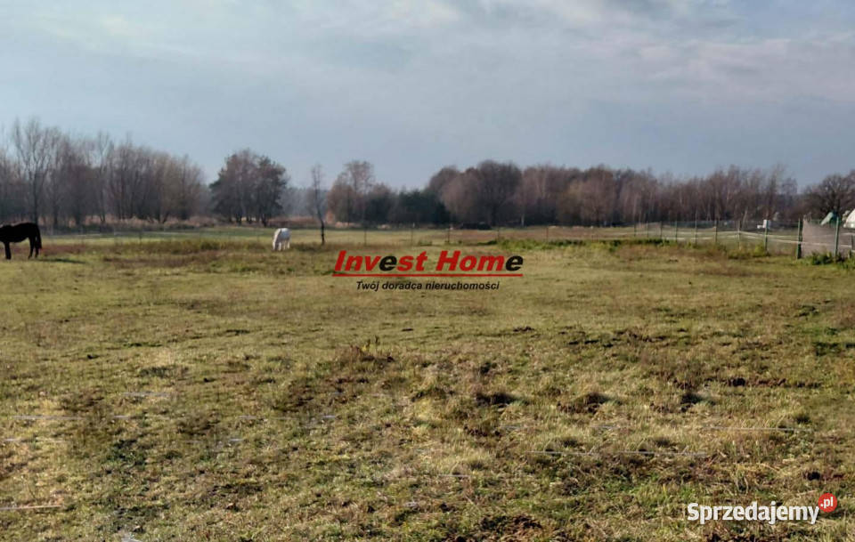 sprzedaży działki Bełk 1691m2 1691m2 sprzedam