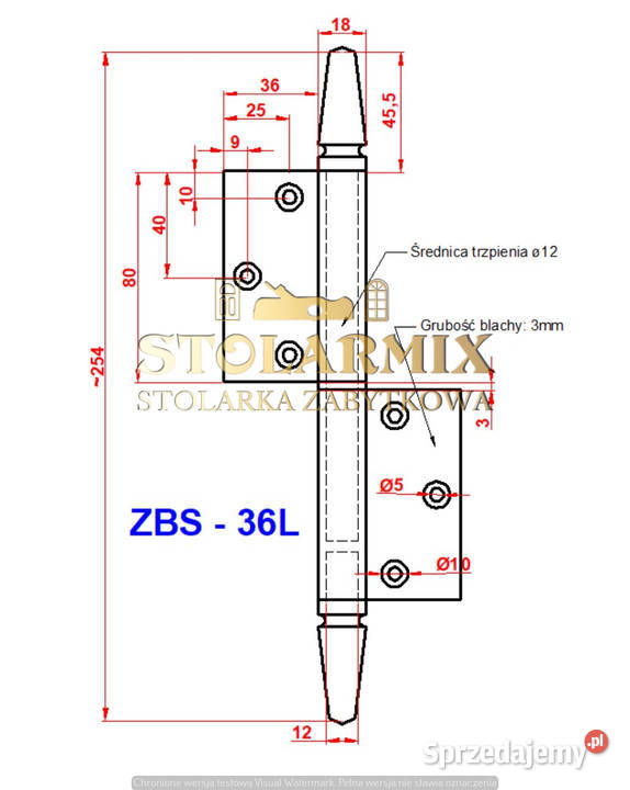 Zawias do starych drzwi bezprzylgowych ZBS 36L kujawsko-pomorskie Paterek