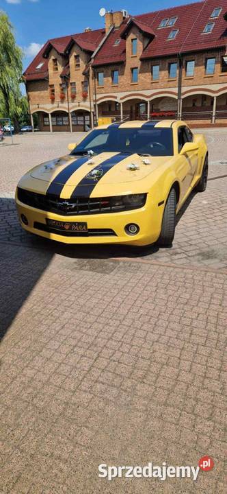 Chevrolet Camaro 36 304 konie 2010 r SS Zamiana benzyna Motoryzacja Strumień