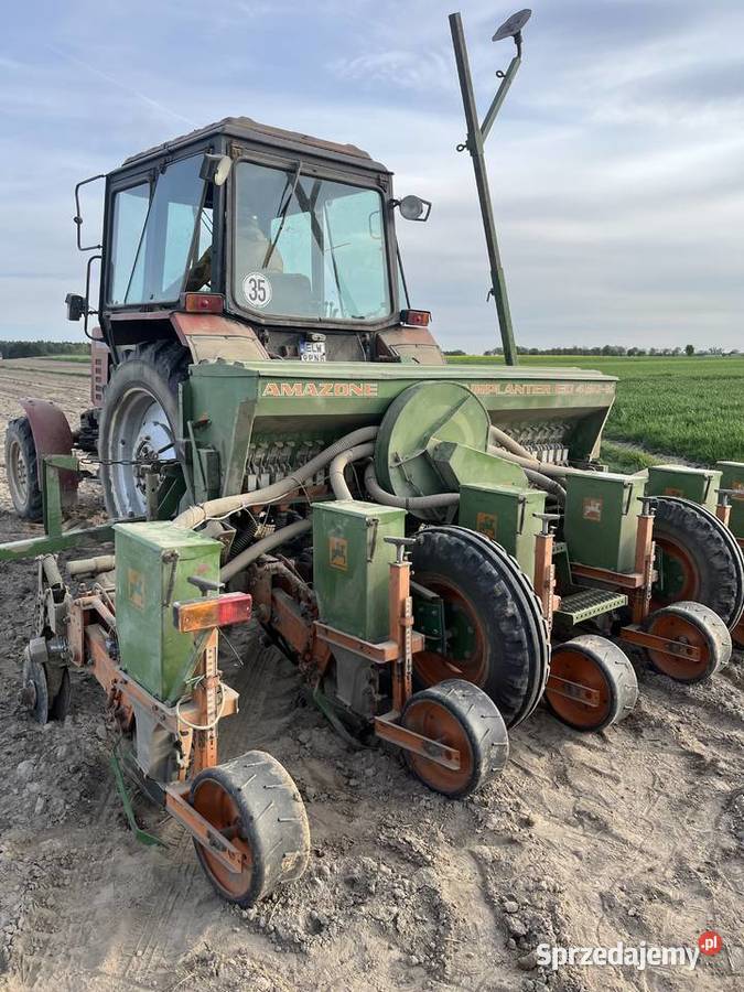 siewnik do kukurydzy Amazone 6cio rzędowy z nieuszkodzony Koluszki sprzedam