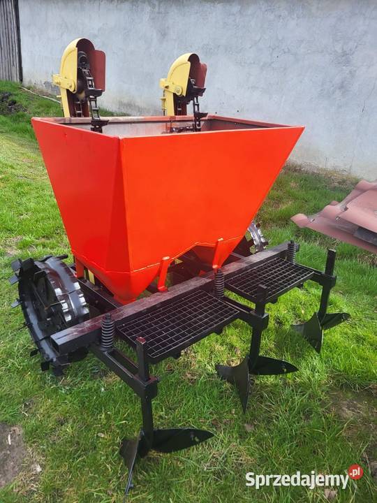 Sadzarka biedaszki wielkopolskie Konin