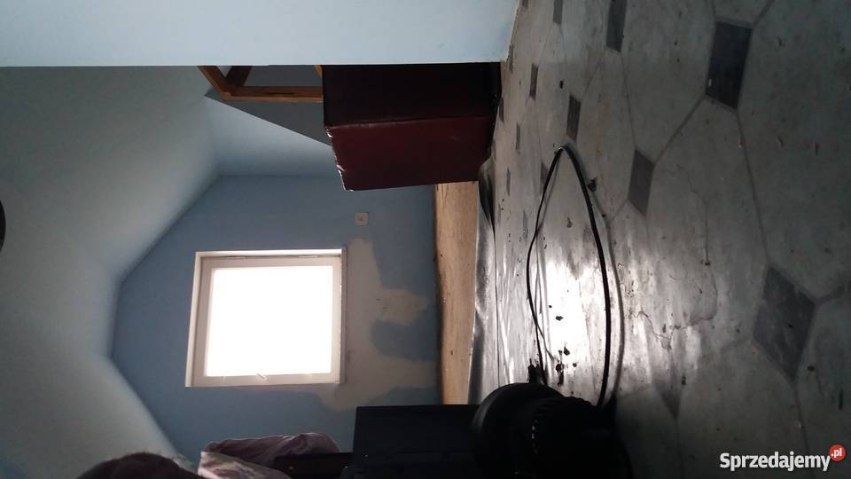 Działka rekreacyjna Gniezno