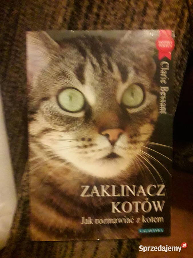 Zaklinacz kotów rozmawiać z kotem Bessant Claire
