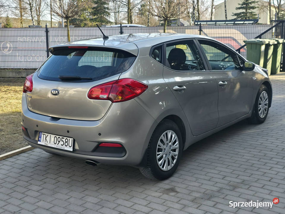 Kia Ceed 14 Benzyna Serwisowany Gwarancja Bogate Piekoszów sprzedam