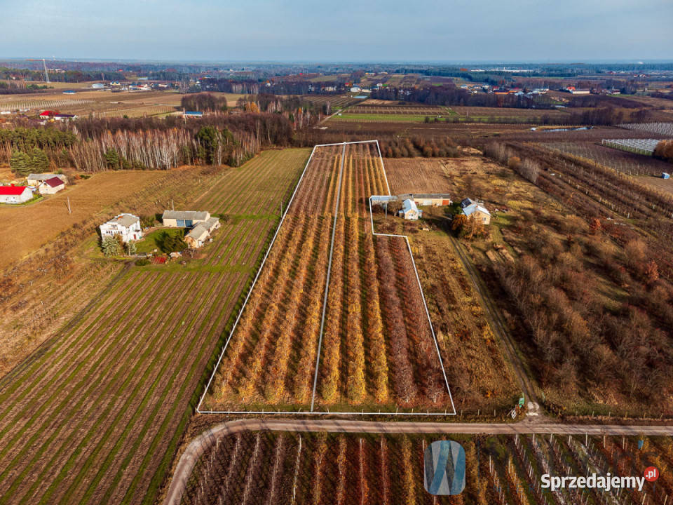 sprzedaży działki 21802m2 Michrów