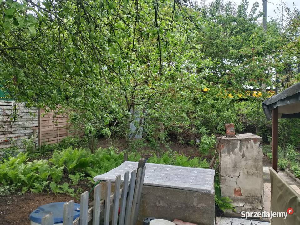 Sprzedam ogródek działkowy rod Plon Wrocław