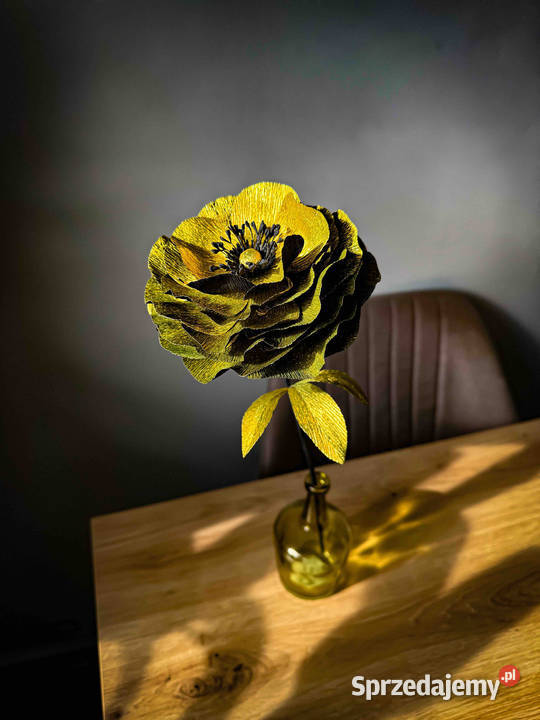 Kwiatek czarnozłoty rozmiar M Zielona Góra