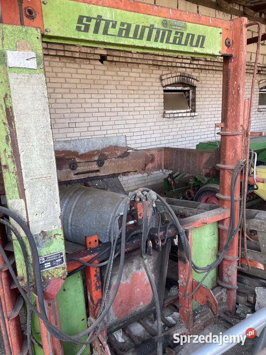 Wycinak strauann Pęchratka Polska